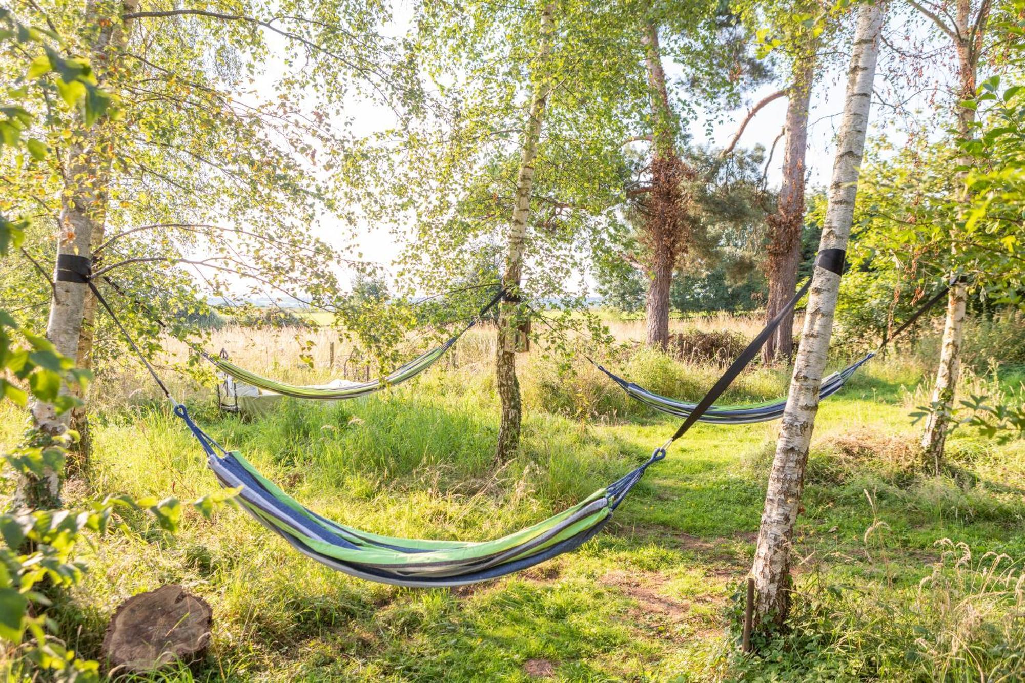 Hotel Stargazer Glamping Uk The Mahal 8 People à Ross-on-Wye Extérieur photo